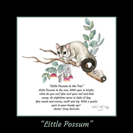 “Little Possum”