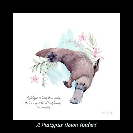 A Platypus Down Under!